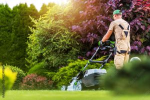 Lire la suite à propos de l’article CAPa Jardinier Paysagiste
