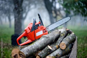 Lire la suite à propos de l’article CAPa Travaux Forestiers