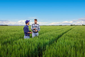Lire la suite à propos de l’article BTSa Analyse, Conduite et Stratégie de l’Entreprise agricole