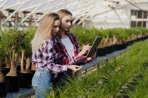 Lire la suite à propos de l’article BTSa Analyse, Conduite et Stratégie de l’Entreprise agricole