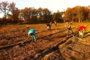 Lire la suite à propos de l’article Bac professionnel Forêt