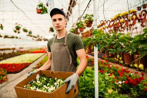 Lire la suite à propos de l’article Bac Pro Conduite de Productions Horticoles