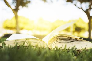 Lire la suite à propos de l’article Seconde générale et technologique