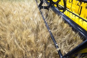 Lire la suite à propos de l’article BTSa Génie des Équipements Agricoles