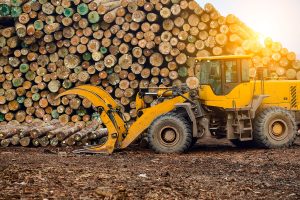 Lire la suite à propos de l’article CS Pilote de Machines de Bûcheronnage