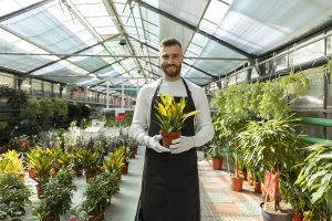 Lire la suite à propos de l’article Brevet Professionnel Responsable de productions légumières, fruitières, florales et de pépinières
