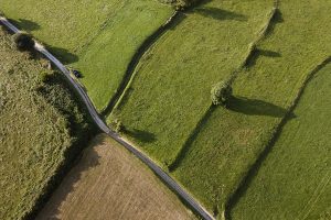 Lire la suite à propos de l’article Bac Pro Conduite et Gestion de l’Exploitation Agricole (CGEA)