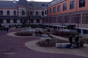 Lire la suite à propos de l’article Filière Technologique STAV (Sciences et Technologies de l&rsquo;Agronomie et du Vivant)