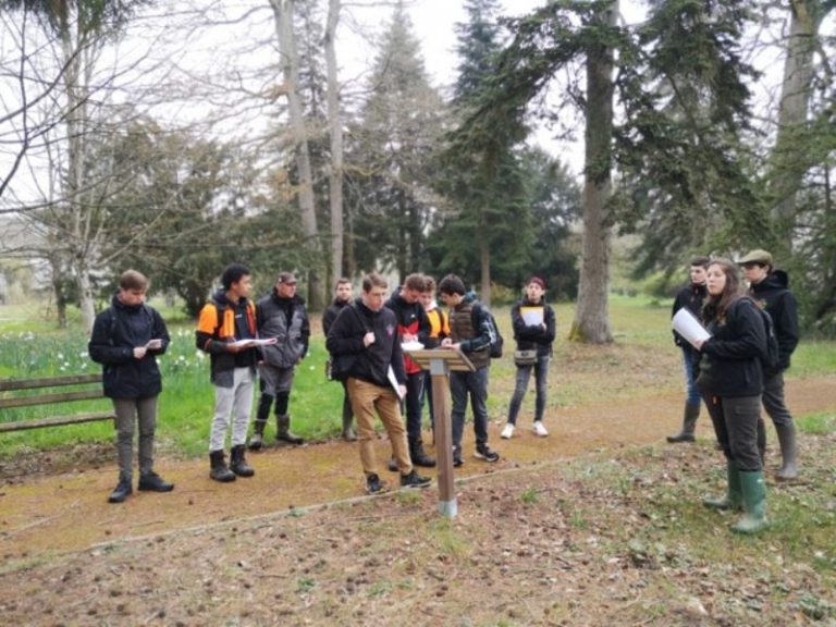 premieres-bac-pro-foret-1