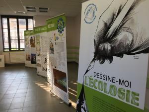 dessine-moi l'écologie